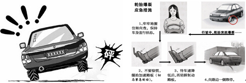 預防交通事故 確保春運安全 6